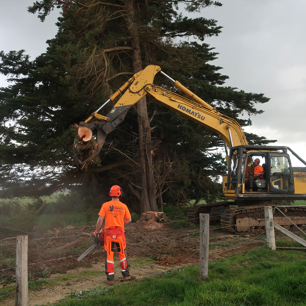 Gravity Trees Excavations A local business with over 15 year s