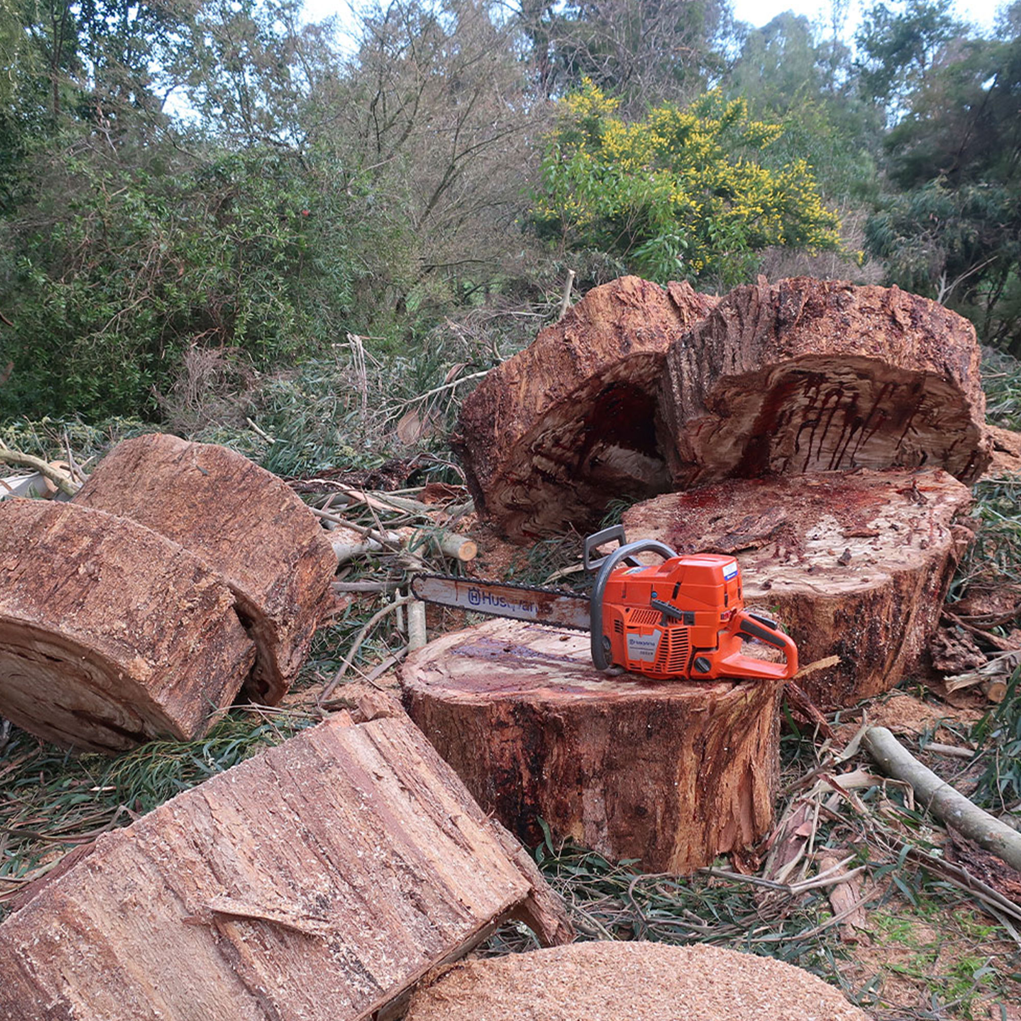 Gravity Trees Excavations A local business with over 15 year s